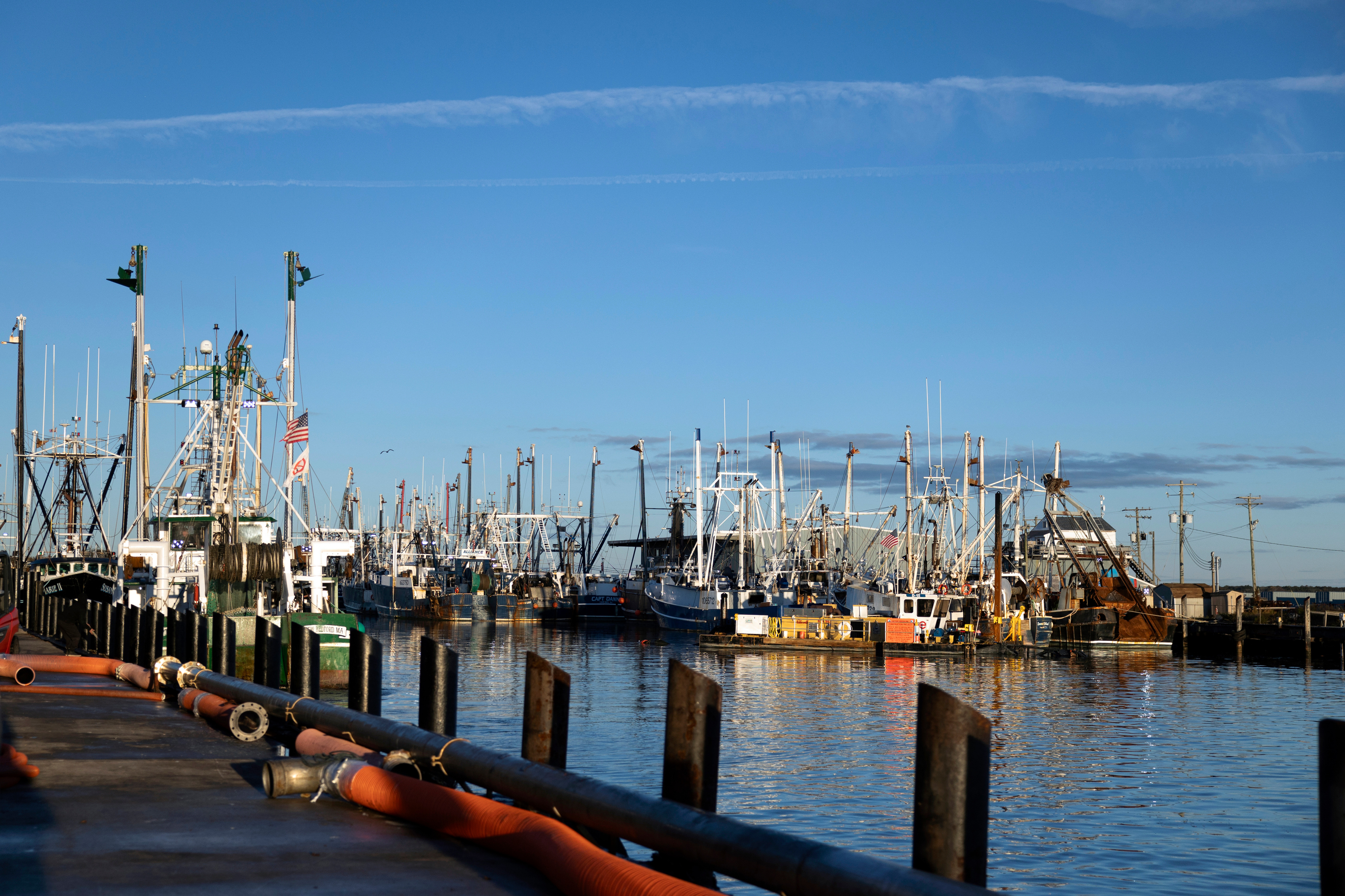 Government reviewing fuel efficiency policies